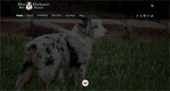 Desktop Screenshot of buckarooaussies.com